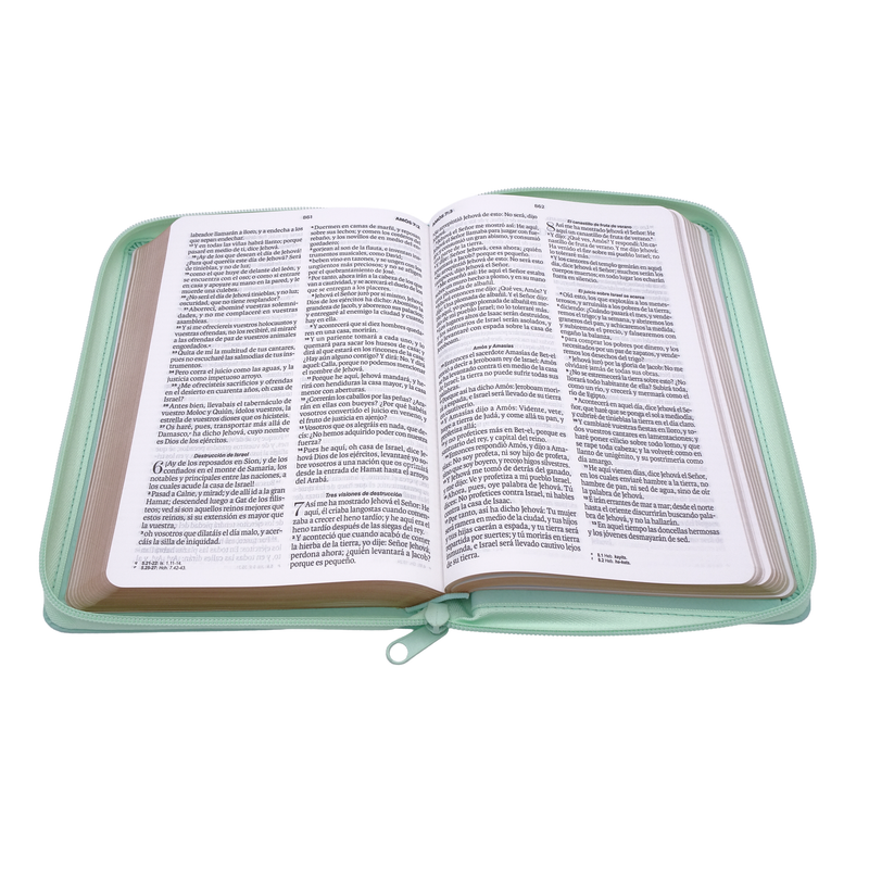 Cargue la imagen en el visor de la galería, Biblia RVR 1960, Tamaño portátil, Letra Grande, Cierre zíper, imitación piel menta mariposas
