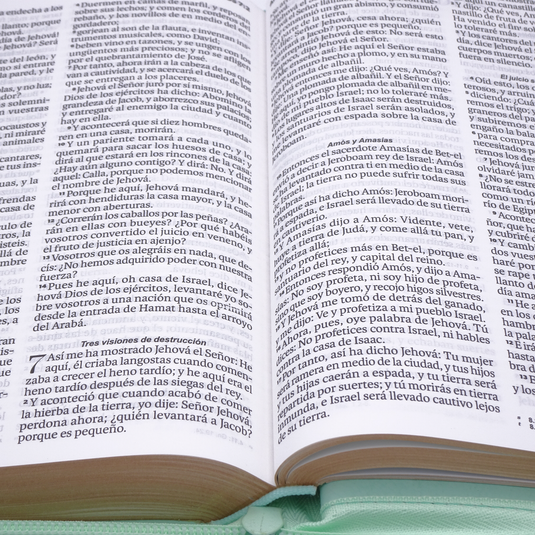 Biblia RVR 1960, Tamaño portátil, Letra Grande, Cierre zíper, imitación piel menta mariposas
