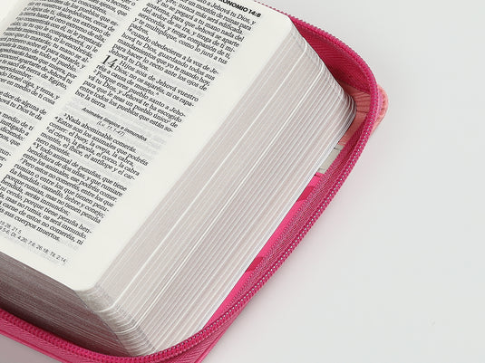 Biblia de Bolsillo RVR 1960, Cierre zíper, imitación piel tonos rosados con Corazones