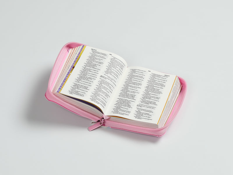 Cargue la imagen en el visor de la galería, Biblia para niños de bolsillo Mi gran viaje RVR 1960, Cierre zíper, imitación piel rosada
