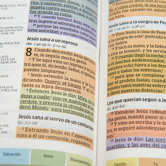 Biblia de Estudio Arcoíris RVR 1960, tapa dura multicolor