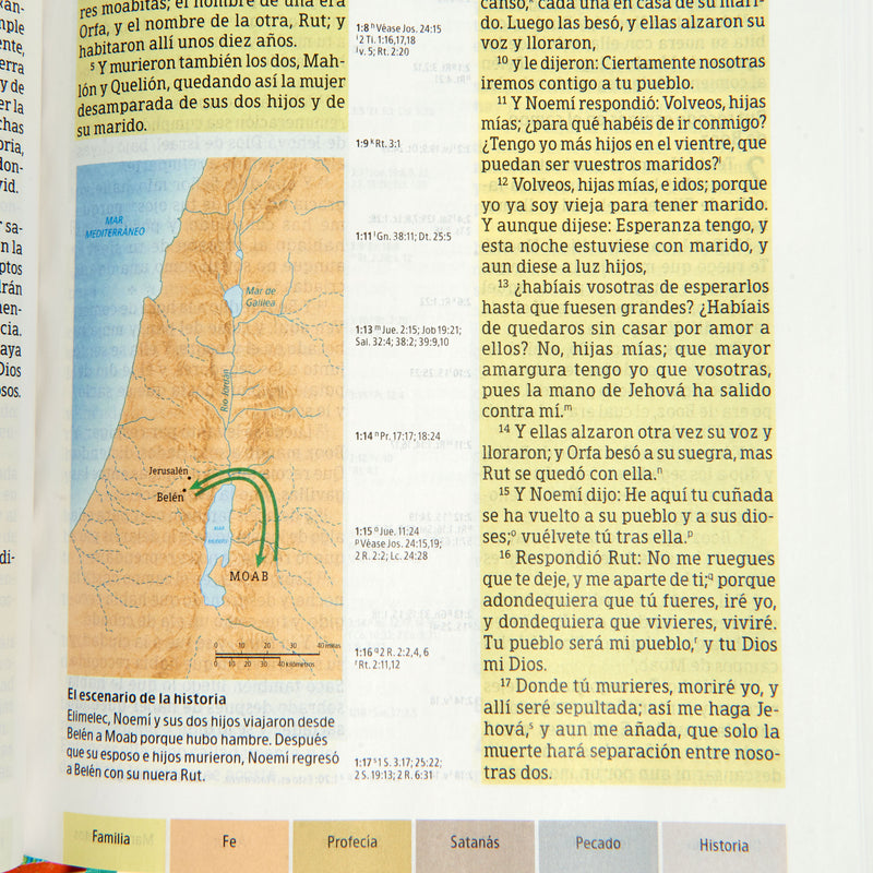 Cargue la imagen en el visor de la galería, Biblia de Estudio Arcoíris RVR 1960, tapa dura multicolor
