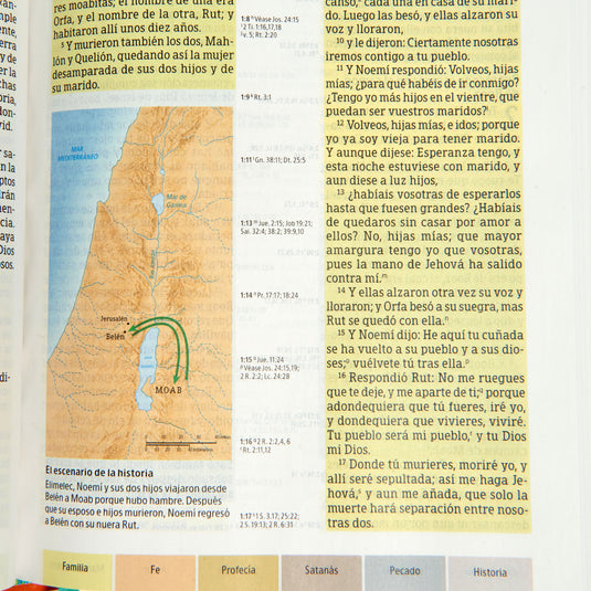 Biblia de Estudio Arcoíris RVR 1960, tapa dura multicolor