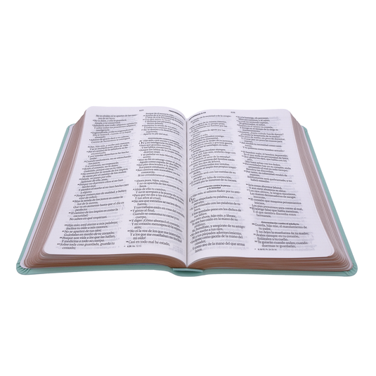 Biblia RVR 1960, Tamaño manual, Letra Grande, imitación piel menta mariposas