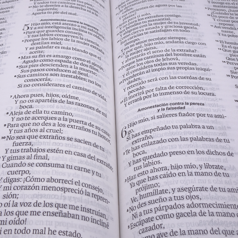 Cargue la imagen en el visor de la galería, Biblia RVR 1960, Tamaño manual, Letra Grande, imitación piel menta mariposas

