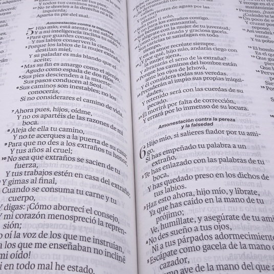 Biblia RVR 1960, Tamaño manual, Letra Grande, imitación piel menta mariposas