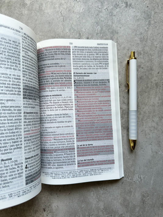 Biblia de Promesas RVR 1960, Tapa dura negra