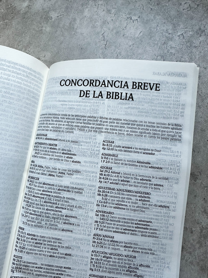Cargue la imagen en el visor de la galería, Biblia de Promesas RVR 1960, Tapa dura negra

