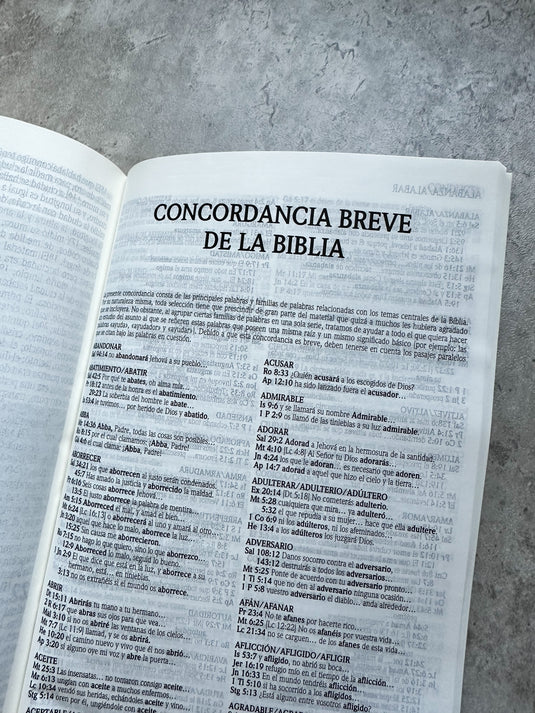 Biblia de Promesas RVR 1960, Tapa dura negra