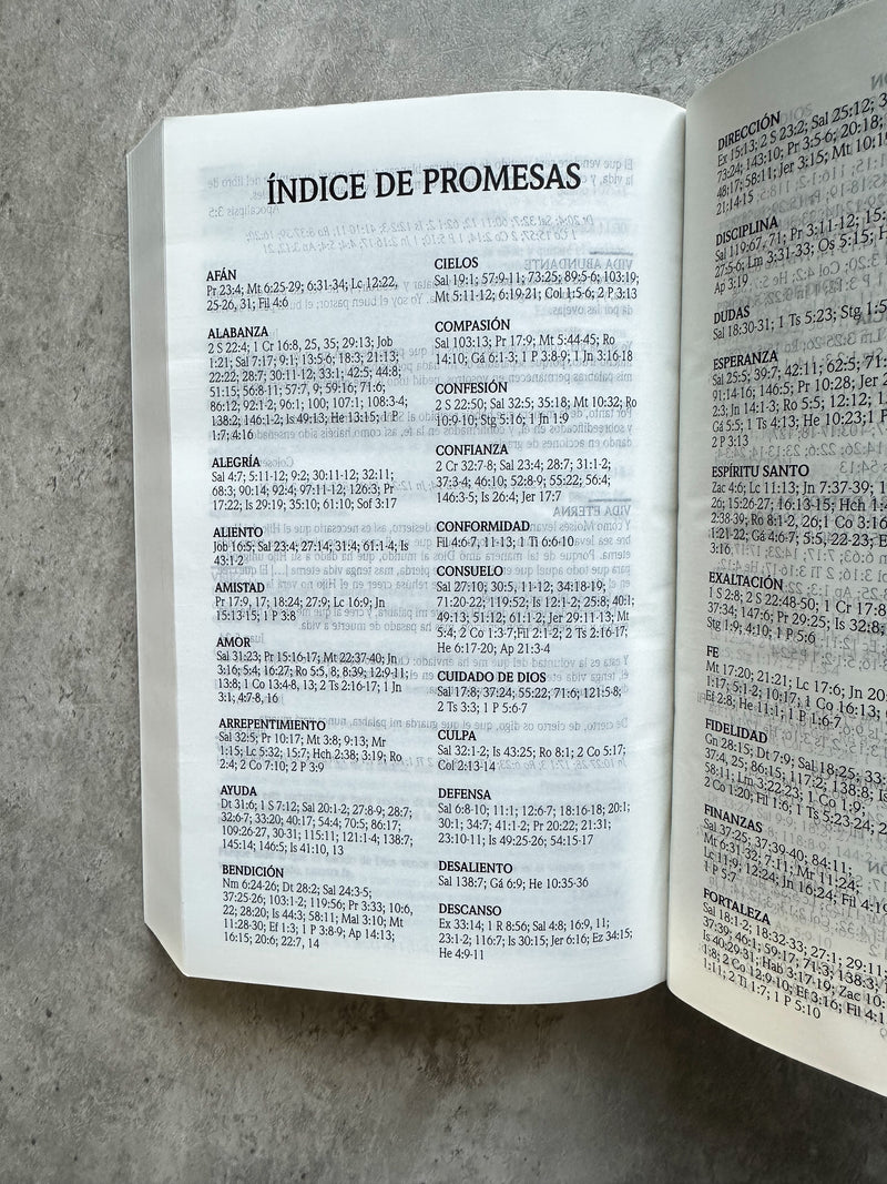 Cargue la imagen en el visor de la galería, Biblia de Promesas RVR 1960, Tapa dura negra
