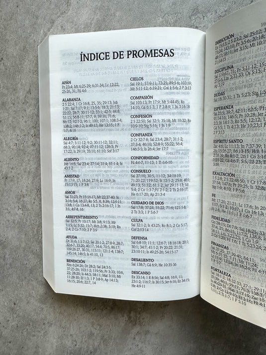 Biblia de Promesas RVR 1960, Tapa dura negra