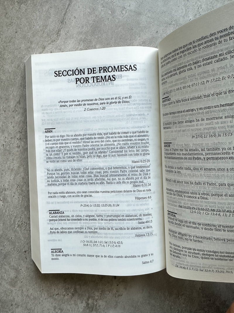 Cargue la imagen en el visor de la galería, Biblia de Promesas RVR 1960, Tapa dura negra
