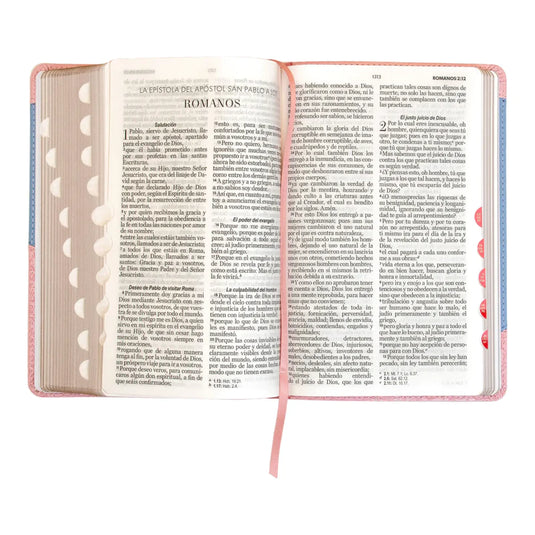 Santa Biblia RVR 1960, Tamaño Manual, Letra Grande, i/piel rosa/azul con índice