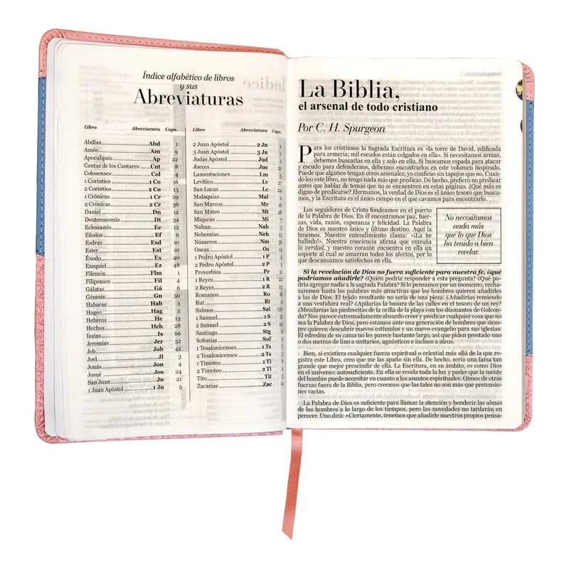 Cargue la imagen en el visor de la galería, Santa Biblia RVR 1960, Tamaño Manual, Letra Grande, i/piel rosa/azul con índice
