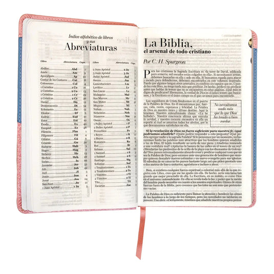 Santa Biblia RVR 1960, Tamaño Manual, Letra Grande, i/piel rosa/azul con índice
