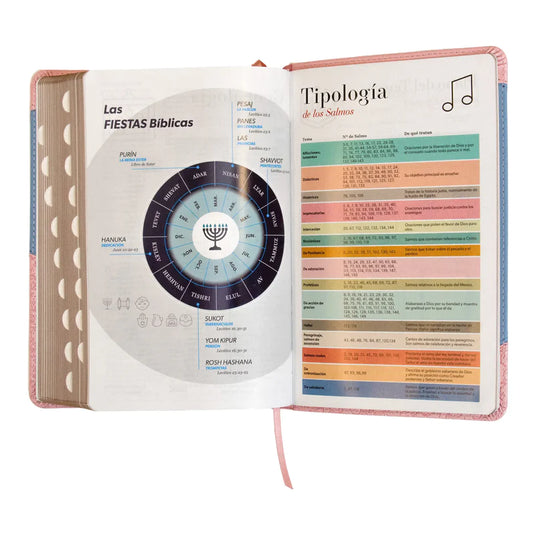 Santa Biblia RVR 1960, Tamaño Manual, Letra Grande, i/piel rosa/azul con índice