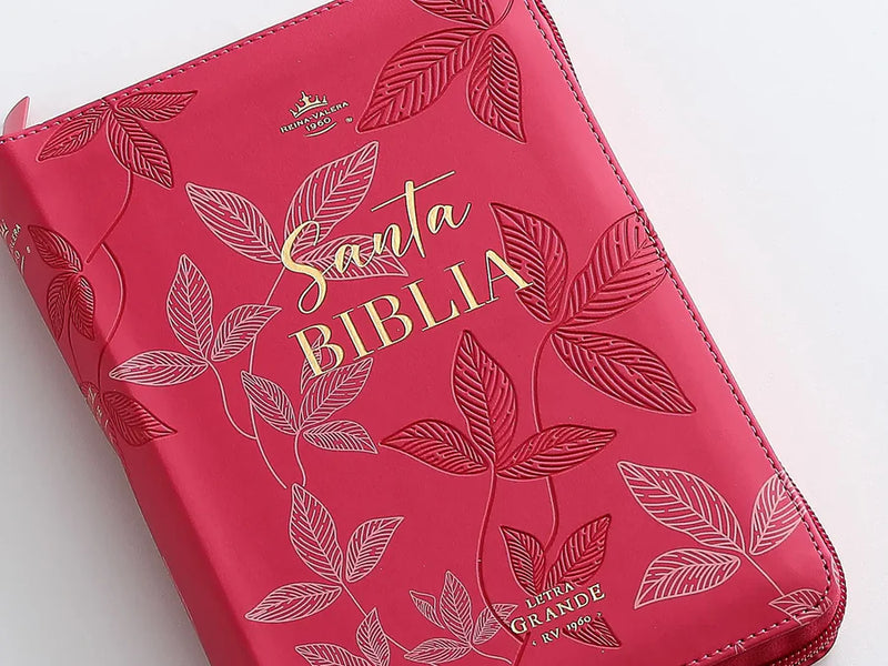 Cargue la imagen en el visor de la galería, Biblia RVR 1960, Tamaño portátil, Cierre zíper, Letra Grande, imitación piel fucsia hojas
