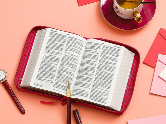 Biblia RVR 1960, Tamaño portátil, Cierre zíper, Letra Grande, imitación piel fucsia hojas