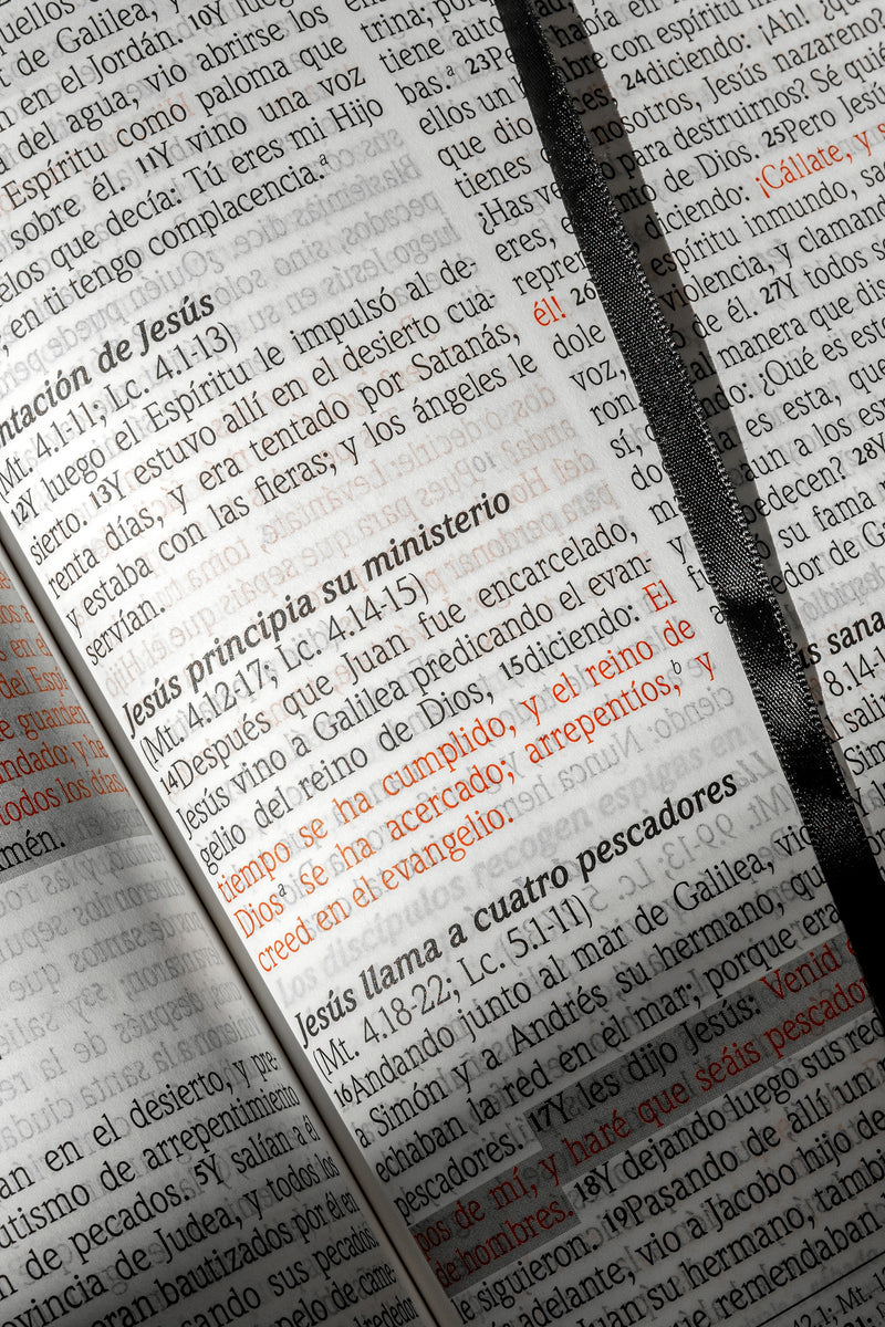 Cargue la imagen en el visor de la galería, Biblia de Promesas RVR 1960, Letra Gigante, piel especial turquesa
