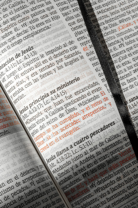 Biblia de Promesas RVR 1960, Letra Gigante, piel especial turquesa