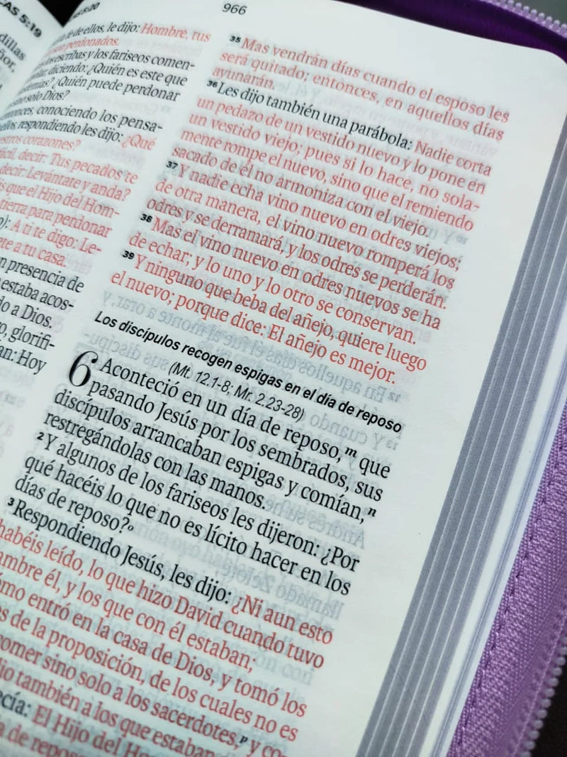 Cargue la imagen en el visor de la galería, Biblia RVR 1960, Tamaño portátil, Letra Grande, Cierre zíper, imitación piel lila
