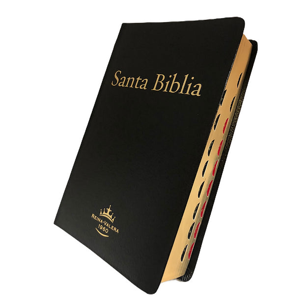 Cargue la imagen en el visor de la galería, Biblia RVR 1960, Letra Gigante, Piel fabricada negra
