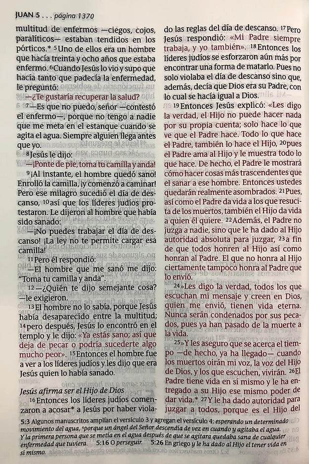 Cargue la imagen en el visor de la galería, Santa Biblia NTV, Edición Clásica, Letra Gigante (SentiPiel, Vino tinto)
