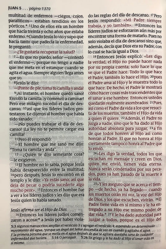 Santa Biblia NTV, Edición Clásica, Letra Gigante (SentiPiel, Vino tinto)