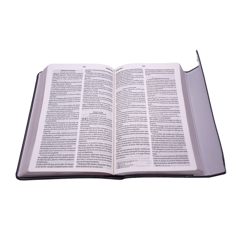 Cargue la imagen en el visor de la galería, Biblia RVR 1960, Letra Grande, agarradera, cierre magnético, imitación piel negro flores
