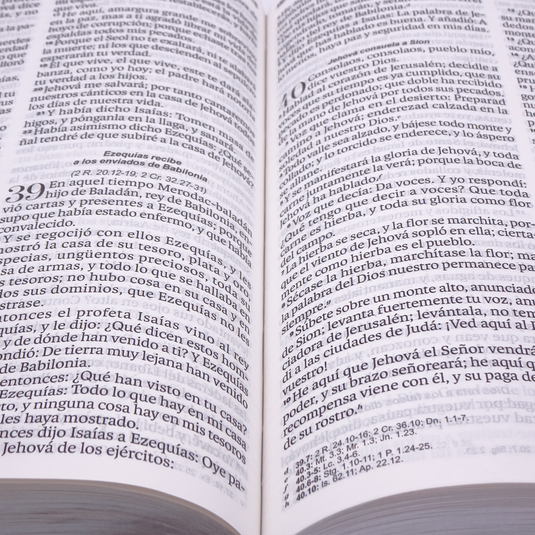 Biblia RVR 1960, Letra Grande, agarradera, cierre magnético, imitación piel negro flores