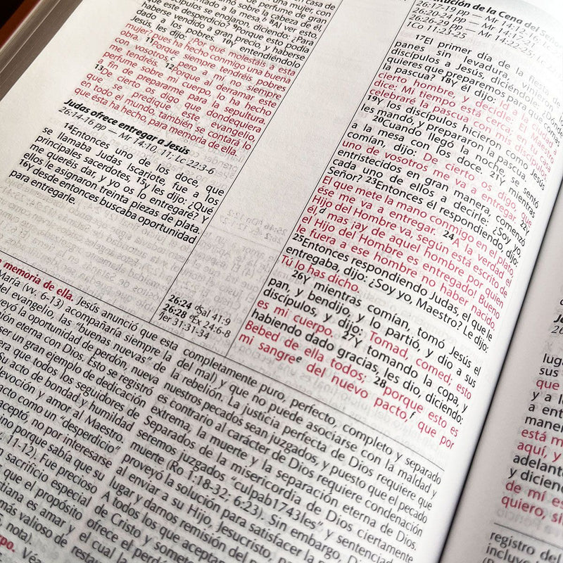 Cargue la imagen en el visor de la galería, Biblia de Estudio Vida Plena  Ampliada y Actualizada, imitación piel marrón
