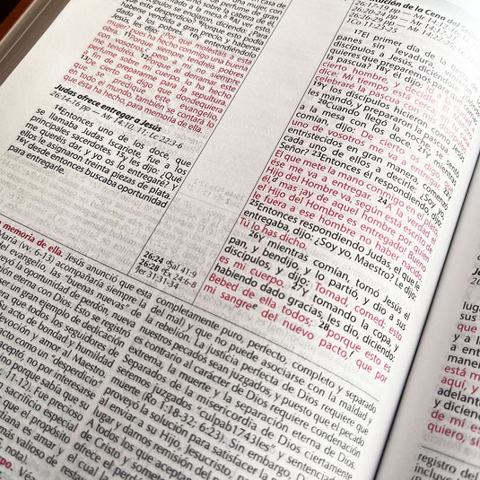 Biblia de Estudio Vida Plena  Ampliada y Actualizada, imitación piel marrón