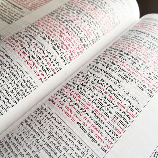 Biblia de Estudio Vida Plena  Ampliada y Actualizada, imitación piel marrón
