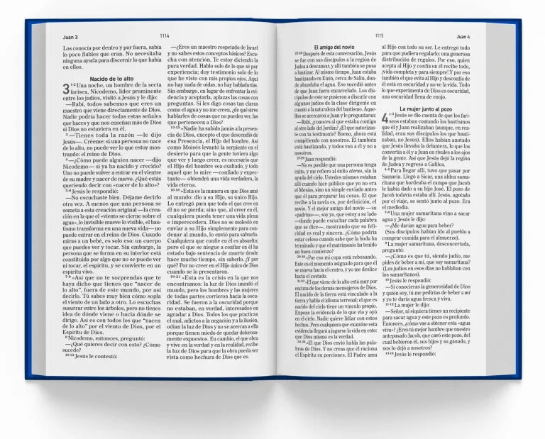Cargue la imagen en el visor de la galería, Biblia El Mensaje, Tapa dura/tela gris
