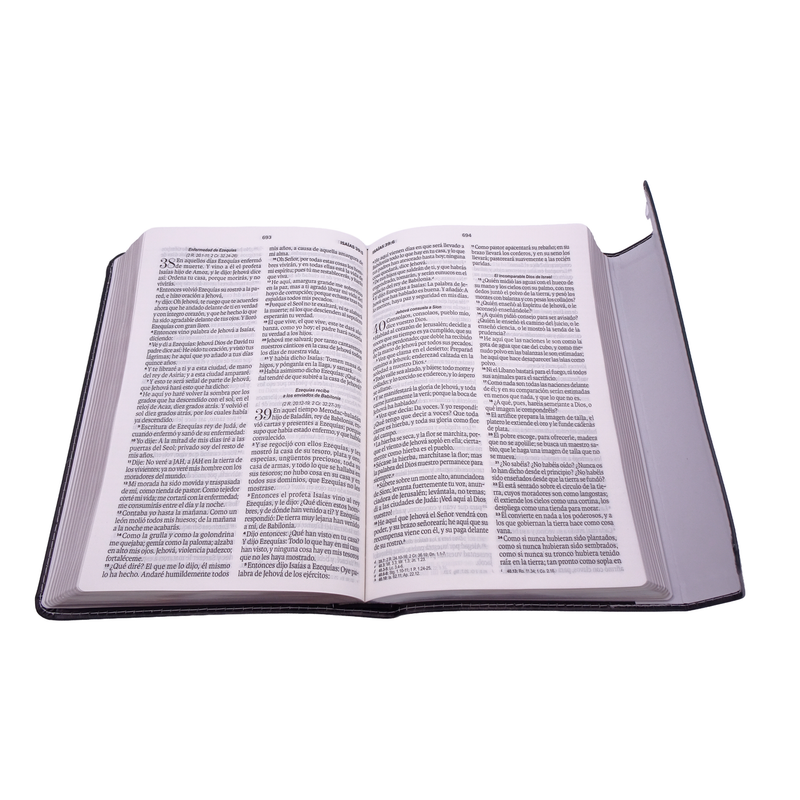 Cargue la imagen en el visor de la galería, Biblia RVR 1960, Letra Grande, agarradera, cierre magnético, imitación piel León
