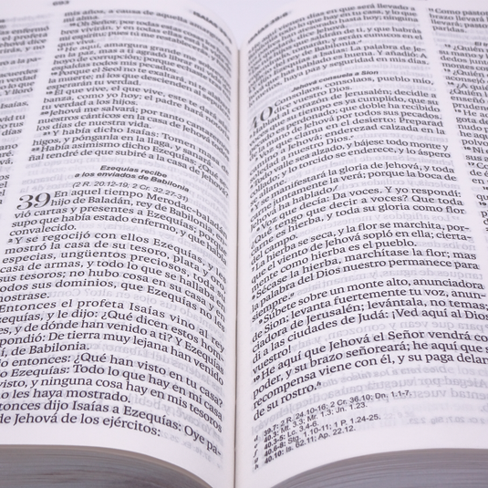 Biblia RVR 1960, Letra Grande, agarradera, cierre magnético, imitación piel León