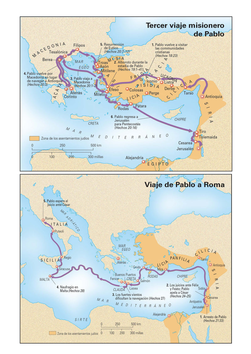 Cargue la imagen en el visor de la galería, Biblia de Promesas RVR 1960, Letra Gigante, piel especial turquesa
