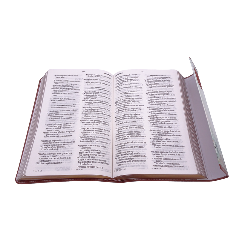 Cargue la imagen en el visor de la galería, Biblia RVR 1960, Letra Grande, agarradera, cierre magnético, imitación piel mariposas
