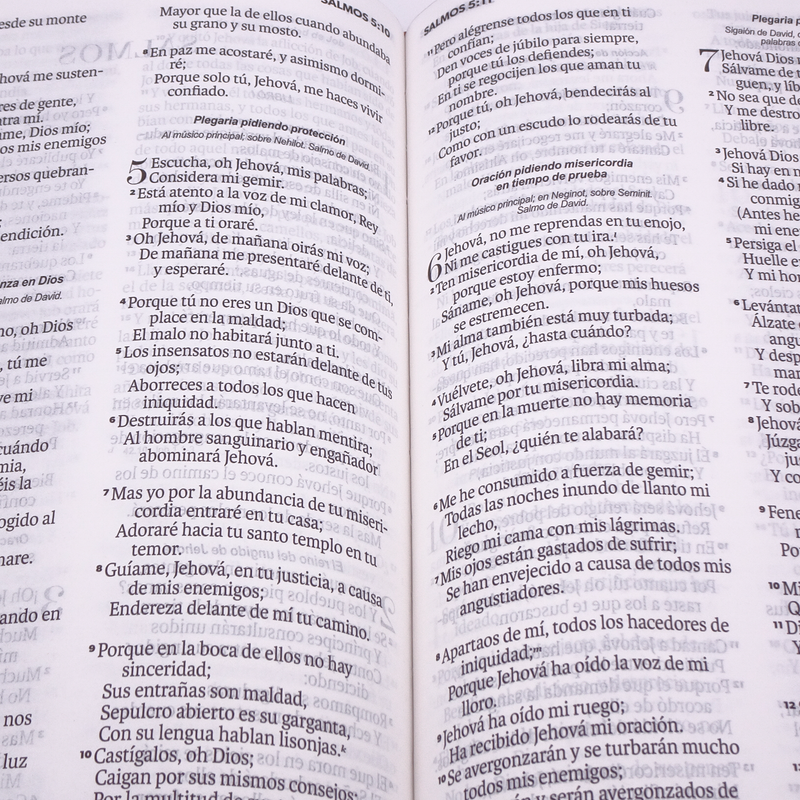 Cargue la imagen en el visor de la galería, Biblia RVR 1960, Letra Grande, agarradera, cierre magnético, imitación piel mariposas
