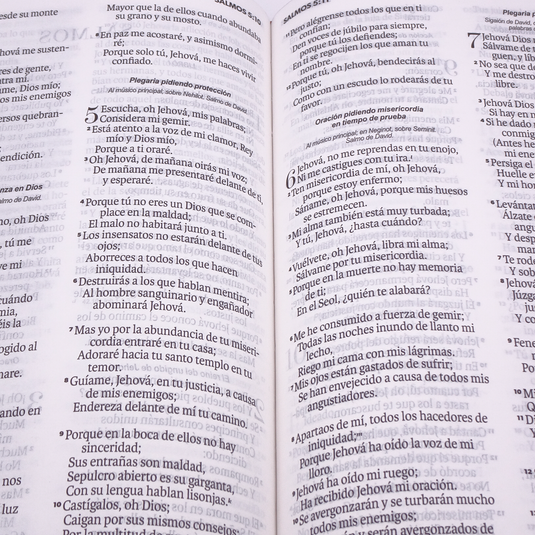 Biblia RVR 1960, Letra Grande, agarradera, cierre magnético, imitación piel mariposas