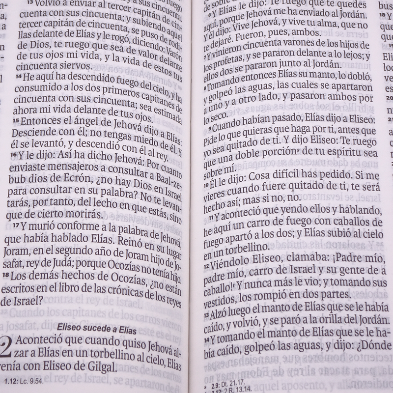 Cargue la imagen en el visor de la galería, Biblia RVR 1960, Letra Grande, agarradera, cierre magnético, imitación piel mariposas
