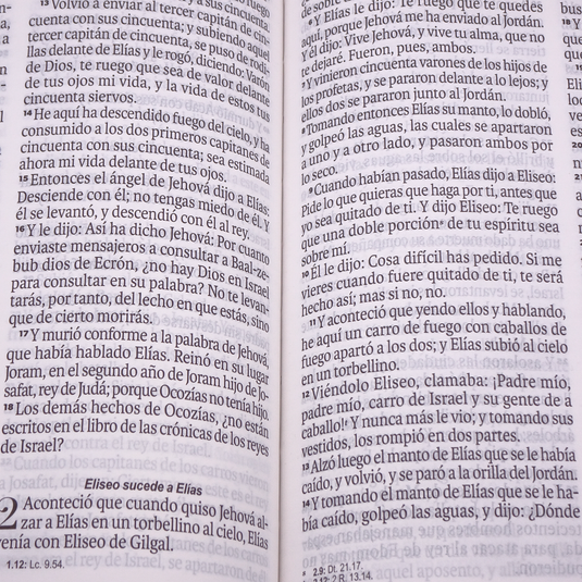 Biblia RVR 1960, Letra Grande, agarradera, cierre magnético, imitación piel mariposas