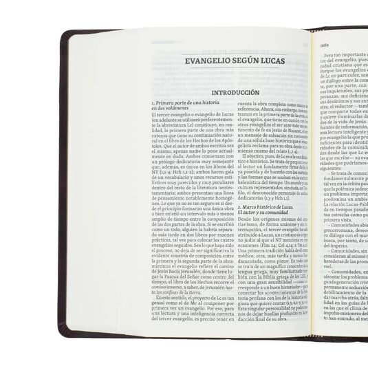 Biblia Hispanoamericana Edición de Estudio (color marrón)