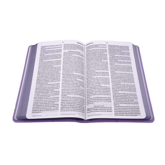 Biblia RVR 1960, Tamaño manual, Letra Grande, imitación piel lila