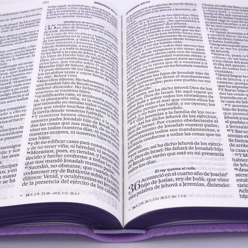 Cargue la imagen en el visor de la galería, Biblia RVR 1960, Tamaño manual, Letra Grande, imitación piel lila
