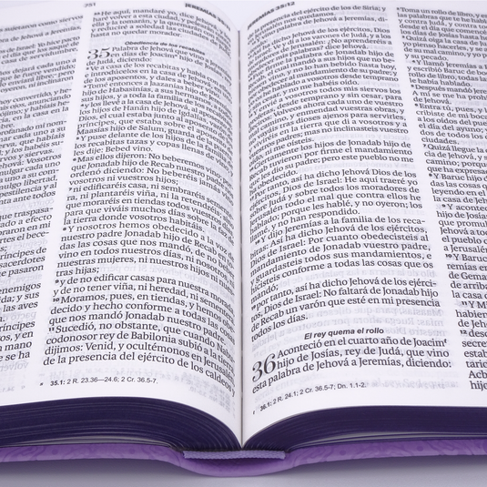 Biblia RVR 1960, Tamaño manual, Letra Grande, imitación piel lila