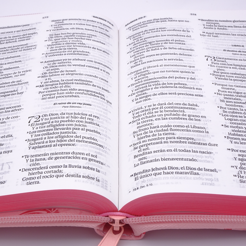 Cargue la imagen en el visor de la galería, Biblia RVR 1960, Tamaño portátil, Letra Grande, Cierre zíper, imitación piel rosa flores
