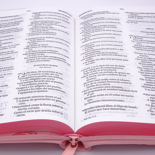 Biblia RVR 1960, Tamaño portátil, Letra Grande, Cierre zíper, imitación piel rosa flores