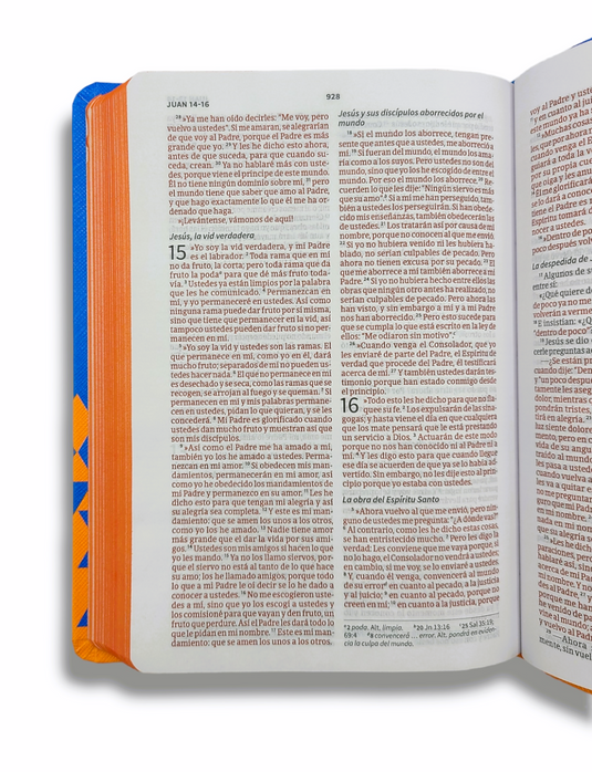 Santa Biblia NVI para regalos y premios, Símil piel océano y papaya