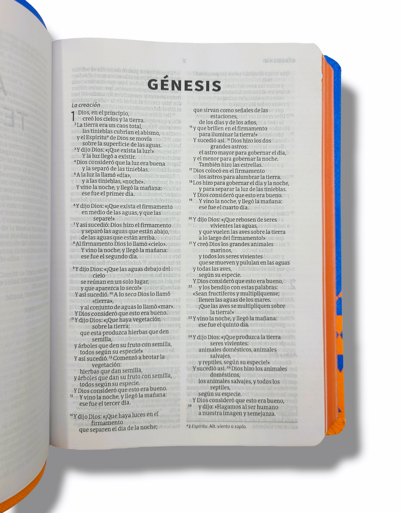 Cargue la imagen en el visor de la galería, Santa Biblia NVI para regalos y premios, Símil piel océano y papaya
